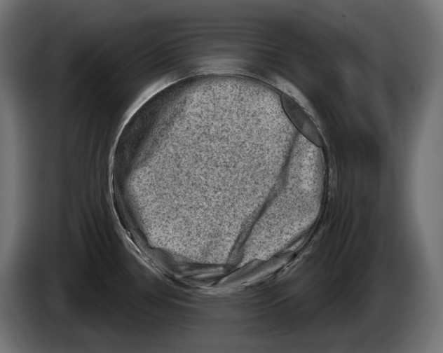 X0000082961386200703020203