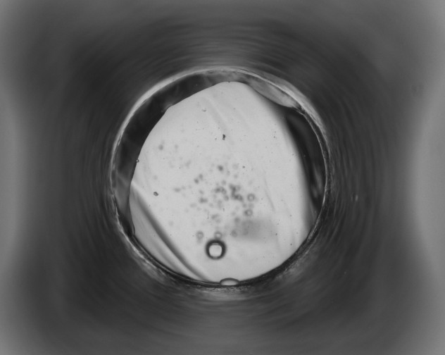 X0000082961388200703020203