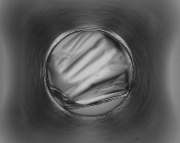 X0000082961389200703020203