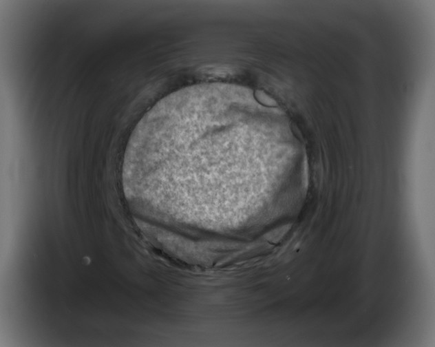 X0000082961393200703020202