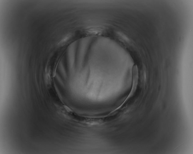 X0000082961394200703020202