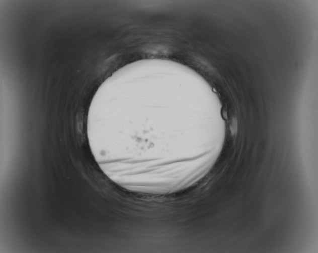 X0000082961396200703020202