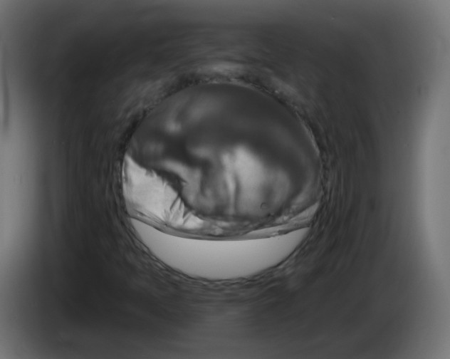 X0000082961397200703020202