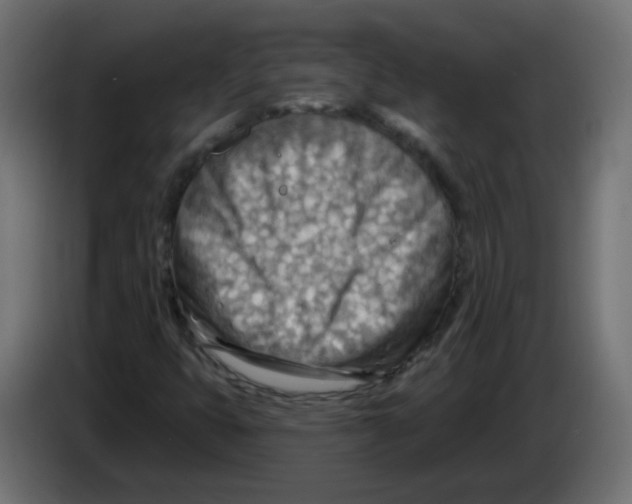 X0000082961399200703020202