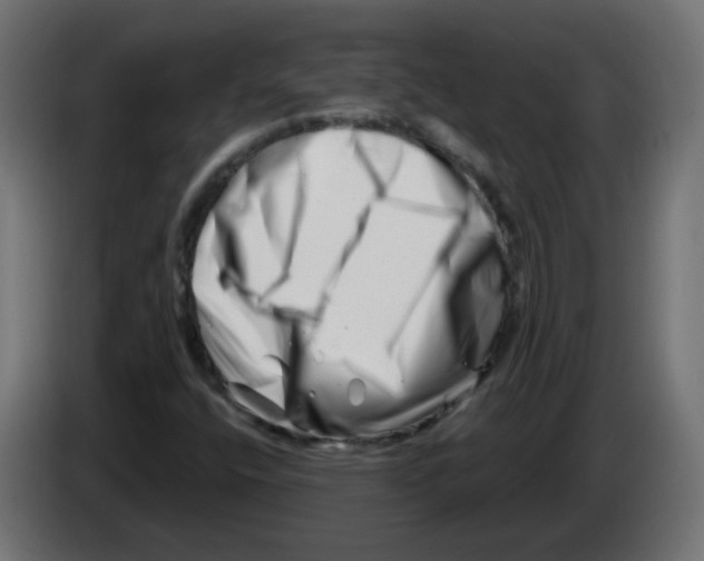 X0000082961400200703020202