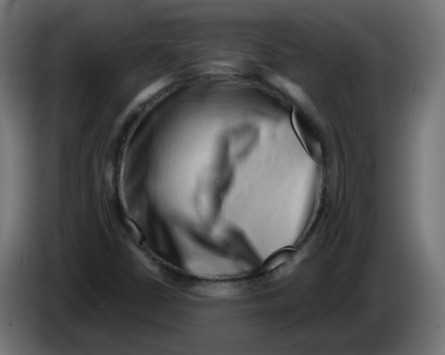 X0000082961402200703020202