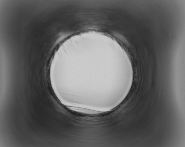 X0000082961404200703020202