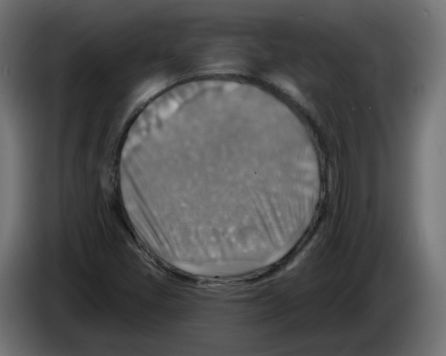 X0000082961405200703020202