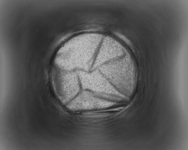 X0000082961407200703020202