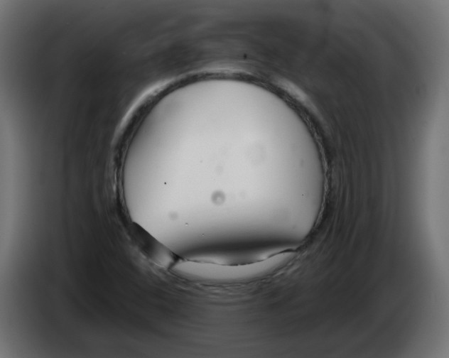 X0000082961408200703020202