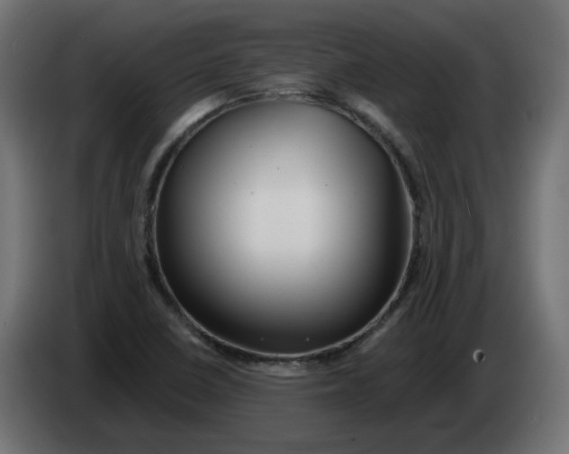 X0000082961410200703020202