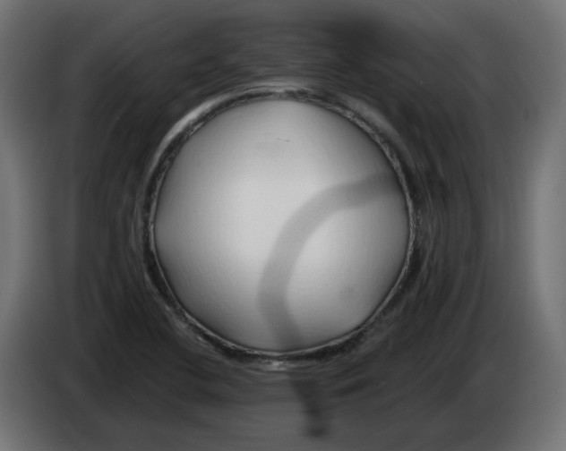 X0000082961412200703020202