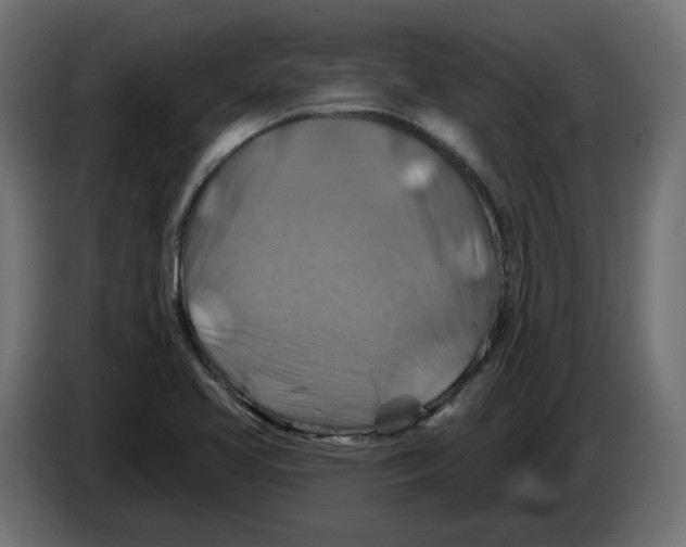 X0000082961413200703020202