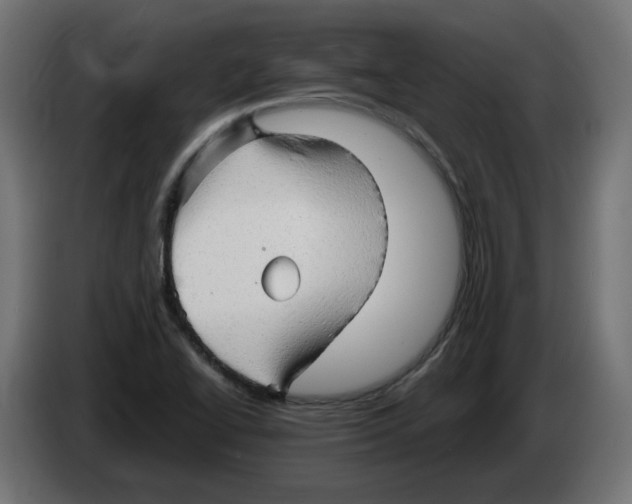 X0000082961414200703020202