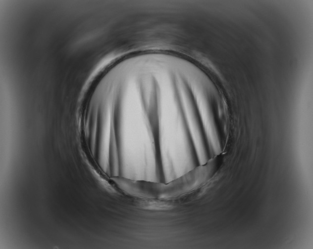 X0000082961416200703020202