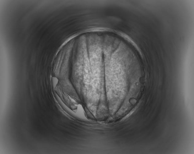 X0000082961417200703020202