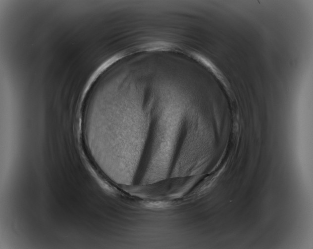 X0000082961418200703020202