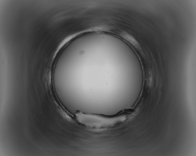 X0000082961420200703020202