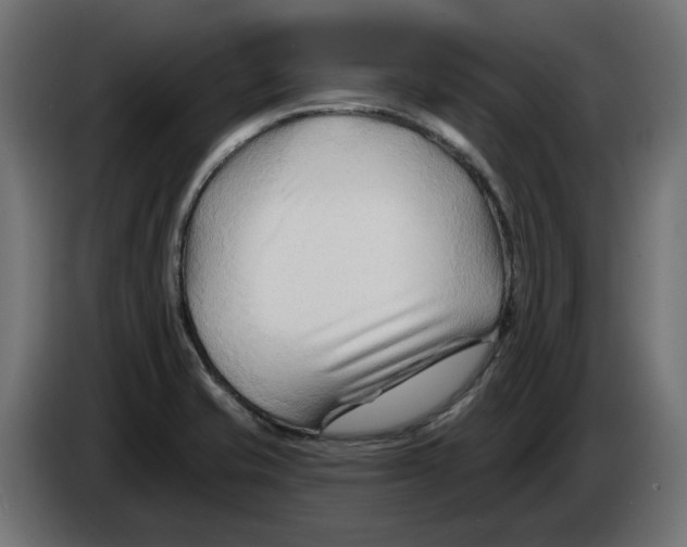 X0000082961421200703020202