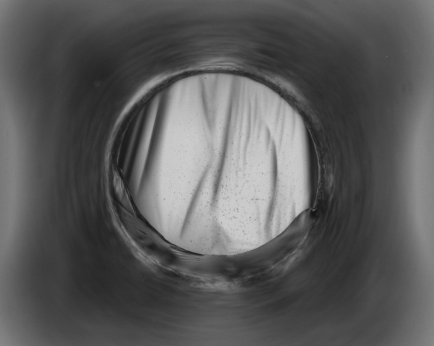 X0000082961422200703020202