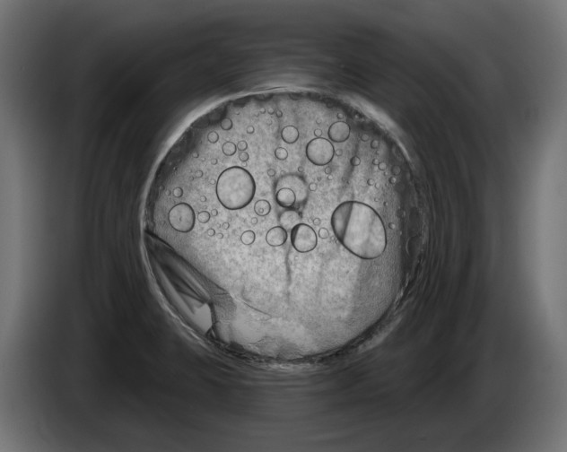 X0000082961423200703020202