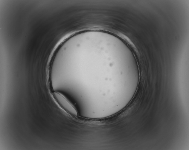 X0000082961424200703020202