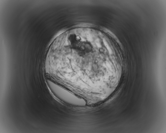 X0000082961425200703020202