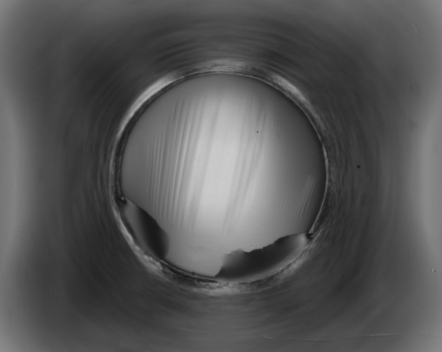 X0000082961426200703020202