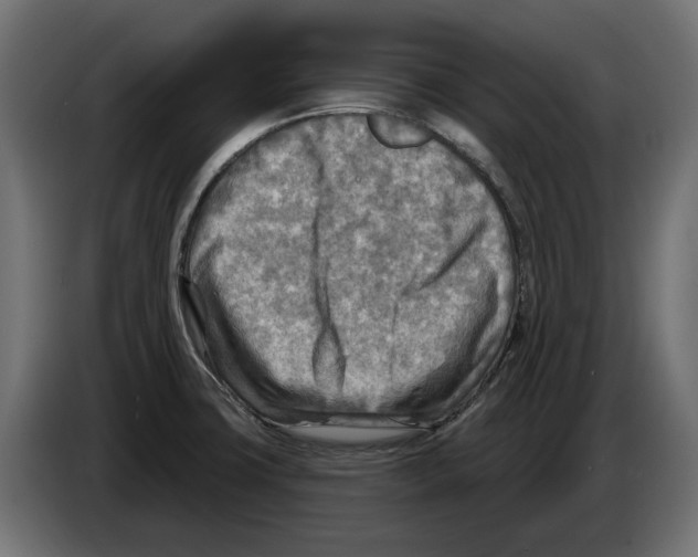 X0000082961427200703020202