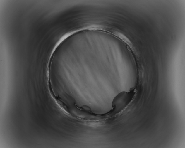 X0000082961428200703020202