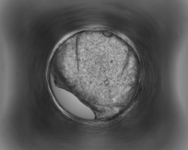 X0000082961429200703020202