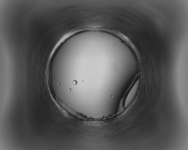 X0000082961432200703020202