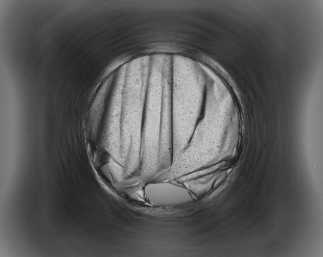 X0000082961433200703020202