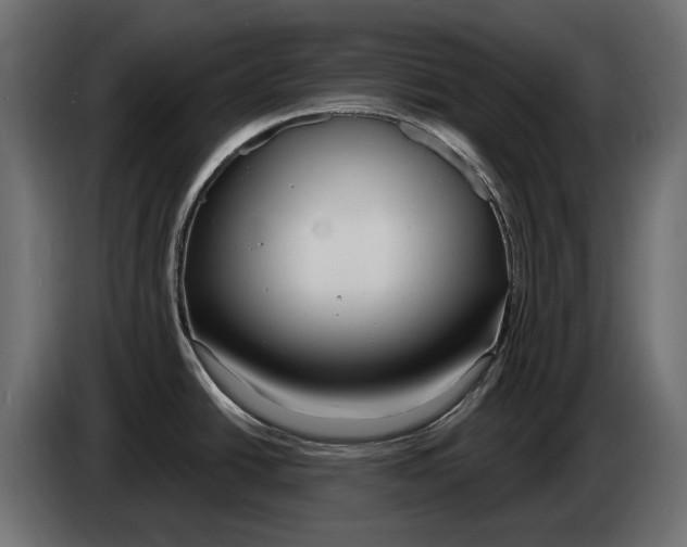 X0000082961438200703020203