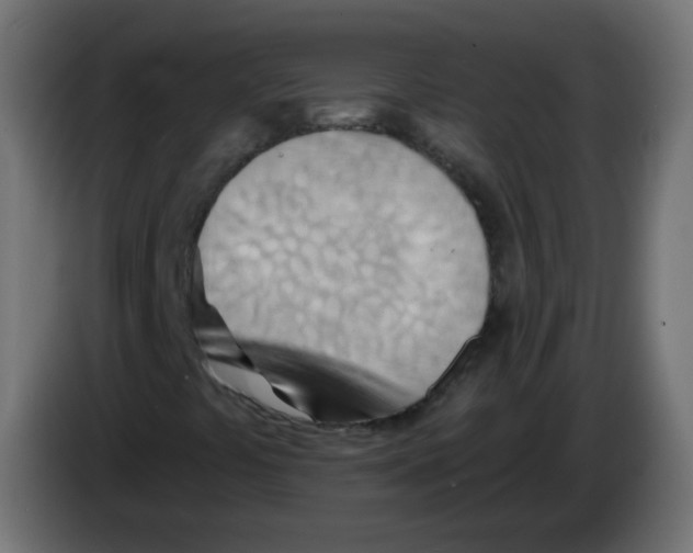 X0000082961441200703020202