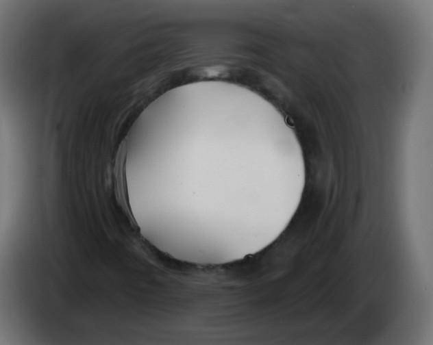 X0000082961442200703020202