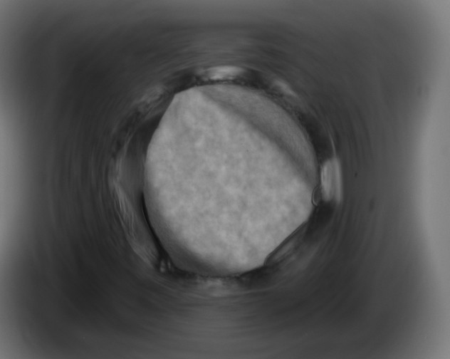 X0000082961443200703020202