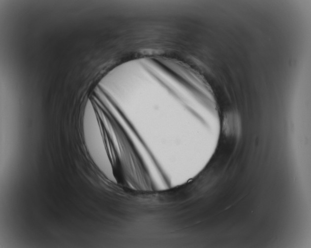 X0000082961444200703020202