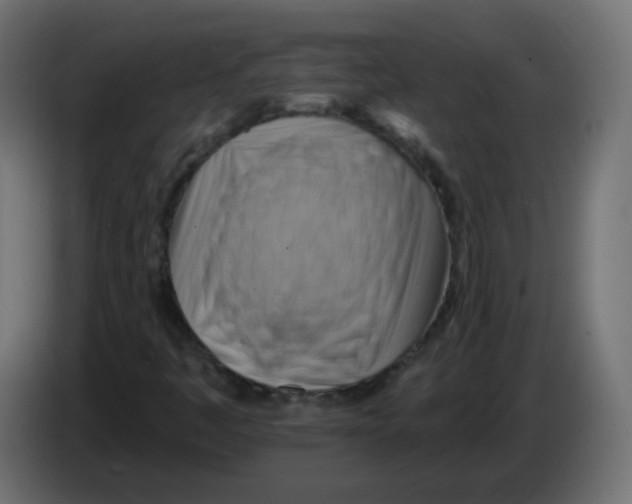 X0000082961445200703020202