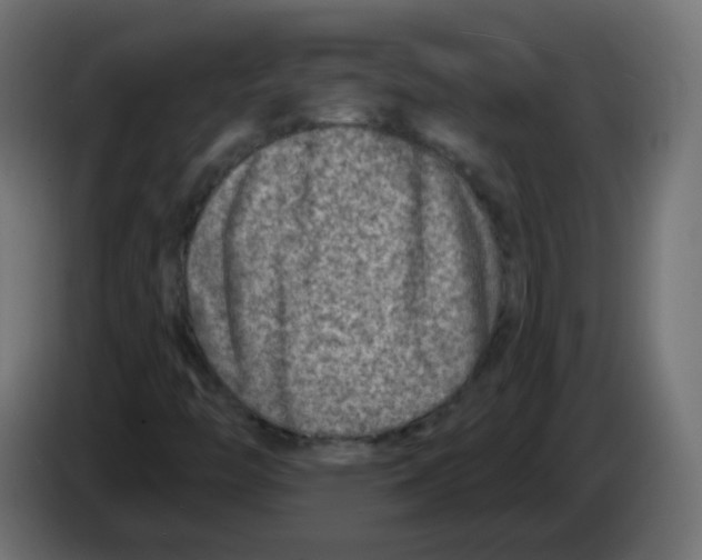 X0000082961446200703020202