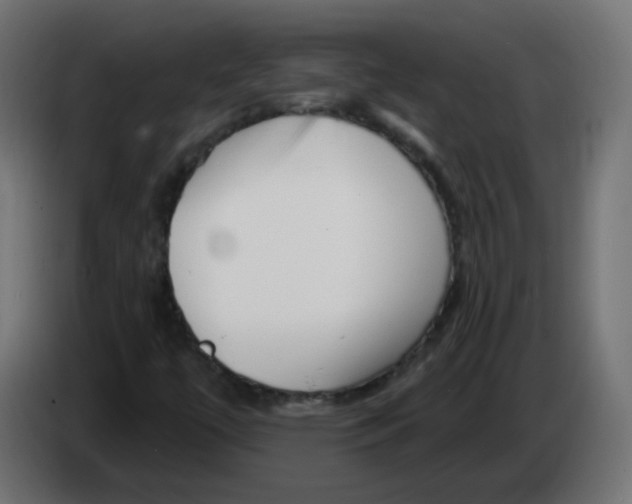 X0000082961447200703020202