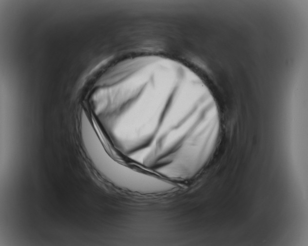 X0000082961448200703020202