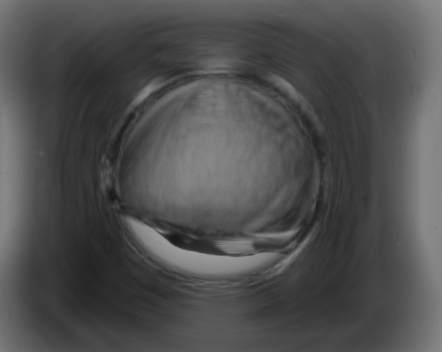 X0000082961449200703020202