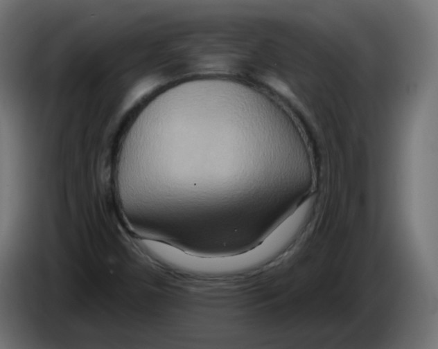 X0000082961450200703020202