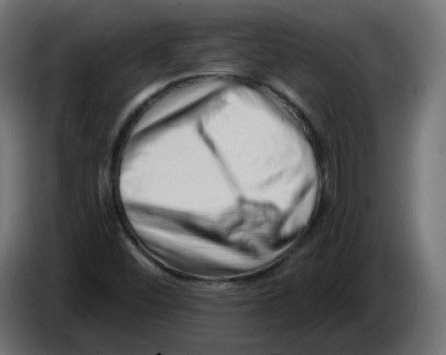 X0000082961452200703020202