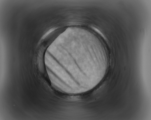 X0000082961453200703020202