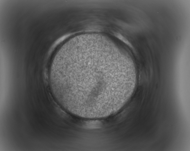 X0000082961454200703020202