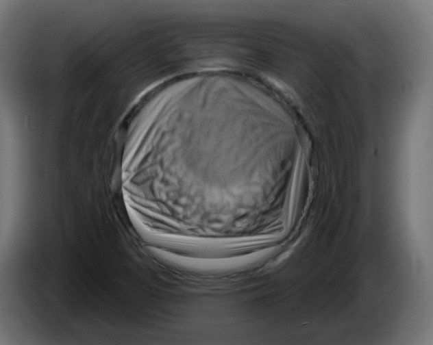 X0000082961457200703020201