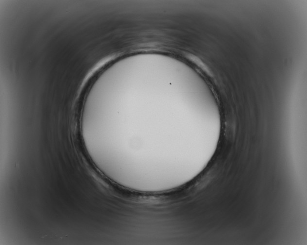 X0000082961458200703020201