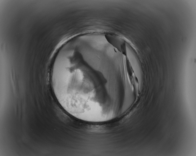 X0000082961459200703020201